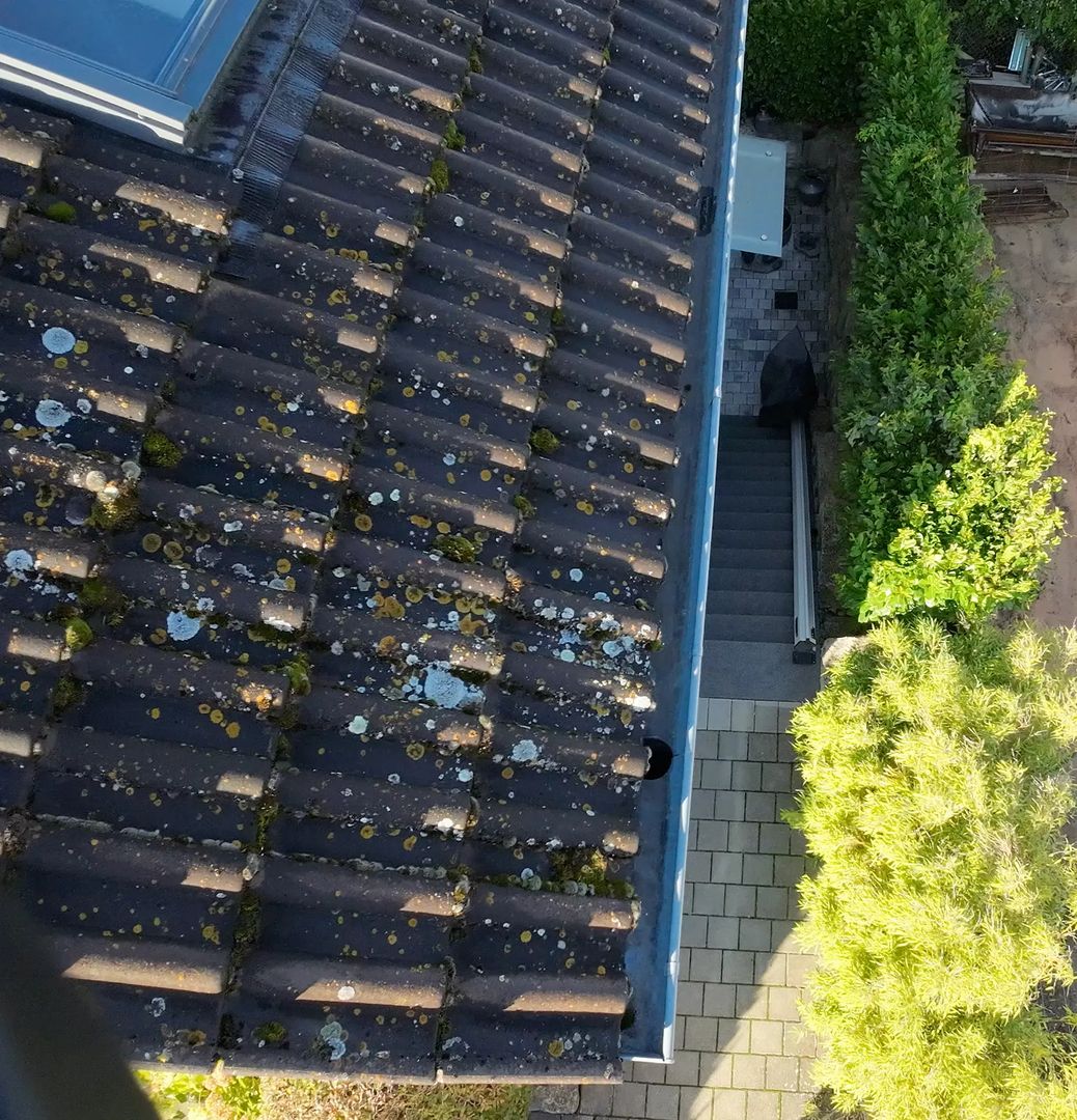 Kontrolle der Dachflächen und Regenrinne